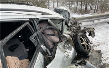 В Емельяновском районе спасатели помогли серьезно пострадавшей в ДТП с грузовиком семье