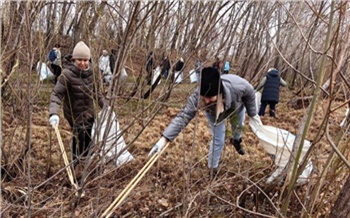 В Красноярске стартовал двухмесячник по благоустройству и озеленению