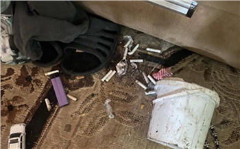 Жительница Красноярского края держала 4 детей в голоде и антисанитарии