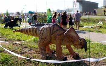 Шахтерские Назарово и Шарыпово получили статус городов с высоким уровнем качества городской среды