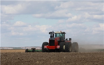 Семенами зерновых и картофеля регион обеспечен полностью: в Красноярском крае стартовала посевная