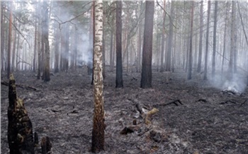 В Казачинском районе для тушения лесного пожара пришлось переходить вброд реку и форсировать болото