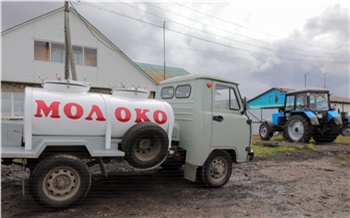 В Красноярском крае 25 сельхозкооперативам возместят часть затрат на закупку молока и мяса