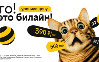 Билайн снизил цены для жителей Красноярска при новом подключении