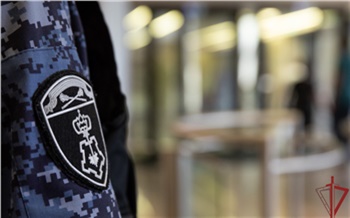 Сразу в двух районах Красноярска поймали сырных воров