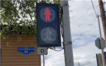 В красноярской Покровке 8-летний мальчик перебегал дорогу на красный и попал под машину