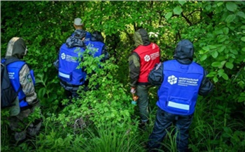 Пропавших подростков из Хакасии спустя неделю нашли в Новосибирске