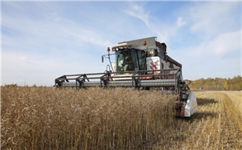 Теперь вся надежда на хорошую погоду: в Красноярском крае стартовала уборочная кампания