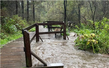 Дожди размыли дорогу в районе Восточного входа в нацпарк Красноярские Столбы