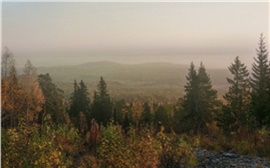 В Красноярском крае поисковики нашли в окрестностях Кутурчин следы костра и след ребенка на снегу (видео)