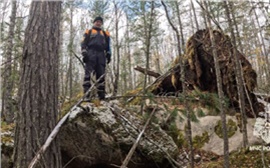 Пропавшая на востоке Красноярского края семья туристов до сих пор не найдена (видео)