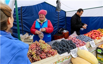Глава СК РФ дал указание возбудить уголовное дело об организации мигрантами незаконной торговли в Красноярске