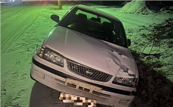 В селе Красноярского края двое детей-пешеходов получили тяжкие травмы в ДТП