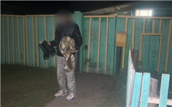 В Красноярском крае гости обокрали умершую приятельницу