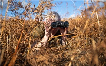 Красноярец убил двух косуль в Большемуртинском районе и попал под уголовку