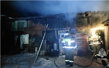 В Сухобузимском районе из-за замыкания проводки в огне погибли курицы