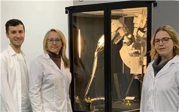 Сибирские ученые нашли способ в семь раз увеличить прочность титановых имплантатов