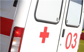 С начала 2025 года услугой медвытрезвителя в Красноярске воспользовались 1375 человек