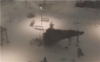 В Красноярске сильный ветер повалил новогоднюю ёлку