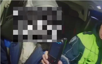 Сообщение в чат-бот ГАИ помогло задержать пьяного водителя в Красноярске