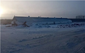 Участнику СВО из Красноярского края вернули его рабочее место после незаконного увольнения