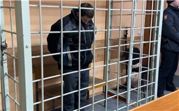 В Канске осудили отца семейства, где мать зарубила троих детей