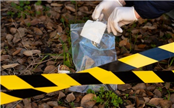 В СК рассматривают криминальную версию исчезновения семьи Усольцевых