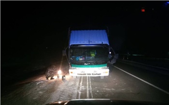 В Красноярском крае инспекторы ДПС помогли водителю заглохшего авто