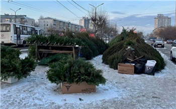 В Свердловском районе Красноярска откроют новые елочные базары