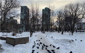 В Красноярске благоустроят небольшие скверы на Копылова