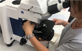 Эксперты напоминают красноярцам об опасных паразитах в рыбе для новогоднего стола