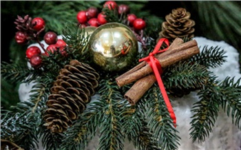 Красноярцам рассказали, как правильно выбрать новогоднюю елку