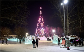 Красноярский фотограф раскритиковал ёлку в Татышев-парке