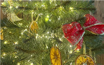 Спикер Заксобрания поздравил жителей Красноярского края с Новым годом