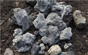 Агрономы рассказали о минерале, который в пять раз повышает урожай и экономит удобрения