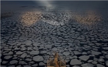 Экипаж атомного ледокола снял на видео морской холодец