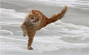 Красноярцев предупредили о сильном ветре