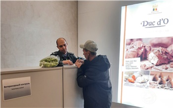 Более 6 тонн опасной продукции задержано в красноярском аэропорту в 2025 году