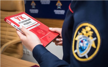 Следователи возбудили дело по факту перелома позвоночника у жителя Зеленогорска во время катания на тюбинге