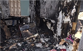 В Ачинске собака спасла жизнь ребенку на пожаре, но сама погибла