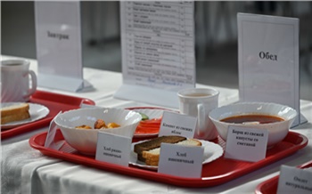 Красноярцам рассказали, как с помощью ладони контролировать питание