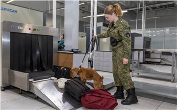Сибирские таможенники пресекли более 1,7 тыс. правонарушений с помощью служебных собак