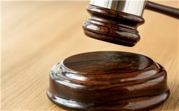 В Красноярском крае суд ужесточил приговор лесничему, продававшему за взятки ценную сосну