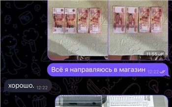 В Дудинке школьник отдал мошенникам более 250 тысяч рублей из родительского сейфа