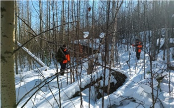 Следователи повторно допросят жителей поселка Кутурчин по делу об исчезновении семьи Усольцевых