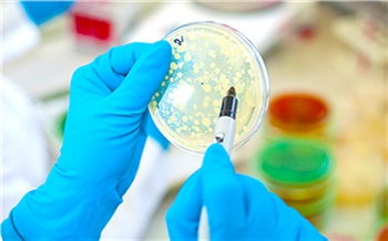 В сыре, котлетах и салате из Красноярского края специалисты нашли опасные бактерии