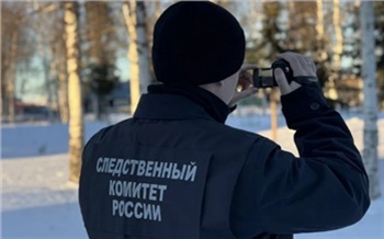 В Красноярске возбудили уголовное дело по факту нападения бродячей собаки на ребенка