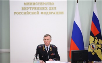 Бывшего красноярского полицейского Горового сняли с должности первого замглавы МВД