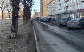 В мэрии ищут подрядчика для благоустройства пешеходных путей на Красрабе