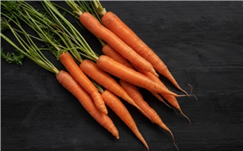 Красноярцам рассказали, как правильно выбрать морковь